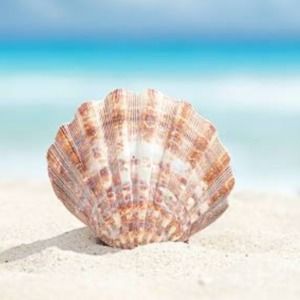 Meet your Posher, Sea5712